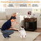 Dog Crates, Kennels & Houses