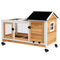 Small Animals, Birds & Aquariums