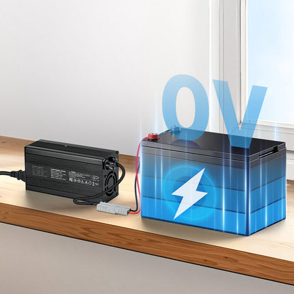 12V 20A LiFePO4 Battery Charger, 14.6V Anderson Plug