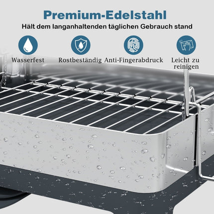 2-Tier Metal Dish Rack with Glass & Utensil Holders