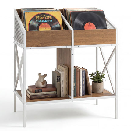 2-Tier Vinyl Record Storage Rack, Holds 250 Albums
