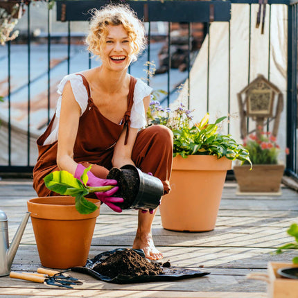 2 ruches avec jardinière intégrée