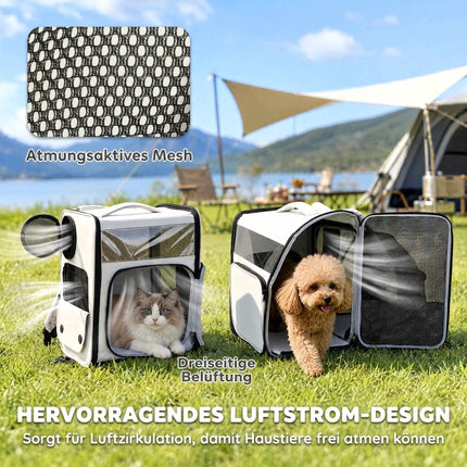 2-in-1 Pet Carrier Backpack with Wheels and Back Support, Foldable, Up to 5 kg