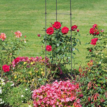 2er-Set Pflanzenstützen mit Ringen, 90 cm
