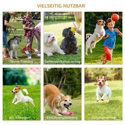 Agility tréninková sada pro psy, 3dílná, snadno přenosná