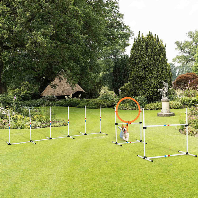 Agility tréninková sada pro psy, 3dílná, snadno přenosná