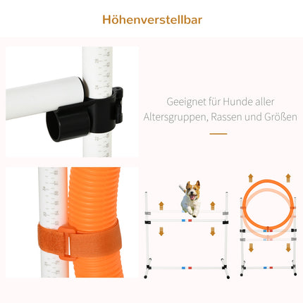 Agility tréninková sada pro psy, 3dílná, snadno přenosná
