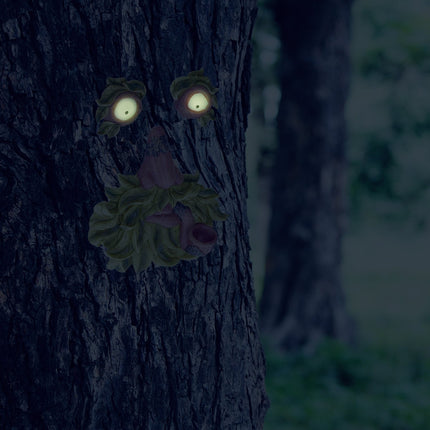3-part tree face old man