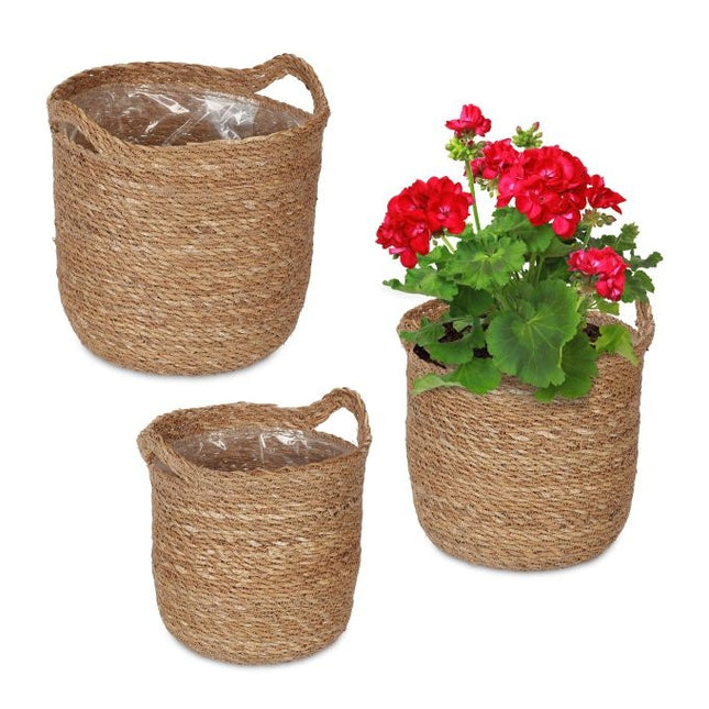 3x Seegras Blumentopf mit Henkel