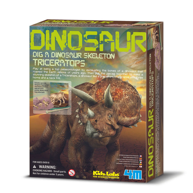 4M Bastelset Grabe einen Triceratops aus