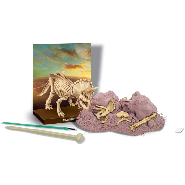 4M Bastelset Grabe einen Triceratops aus