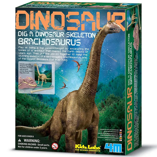 4M Kidzlabs kreativní sada "Kostra brachiosaura"