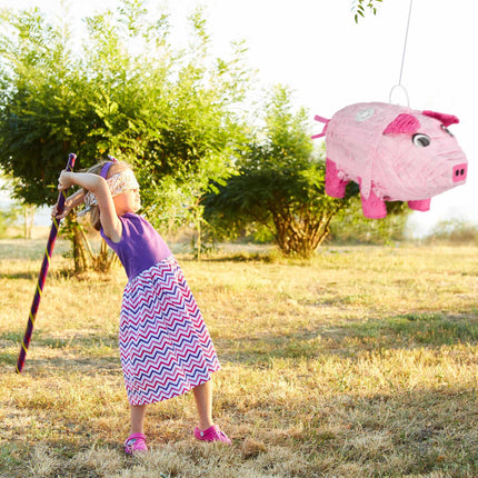 4 pièces. Pinator cochon