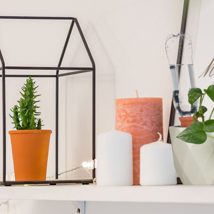 4 pcs. self-watering