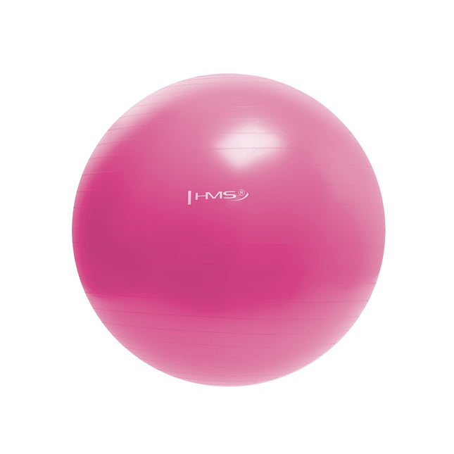55 cm rosa Gymnastikball – platzfest, rutschfest