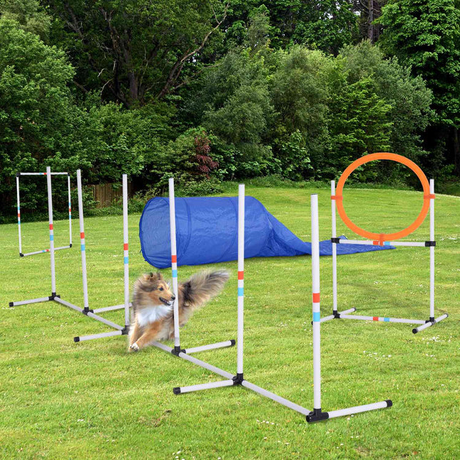Agility sada pro psy s tunelem, přenosná tréninková sada