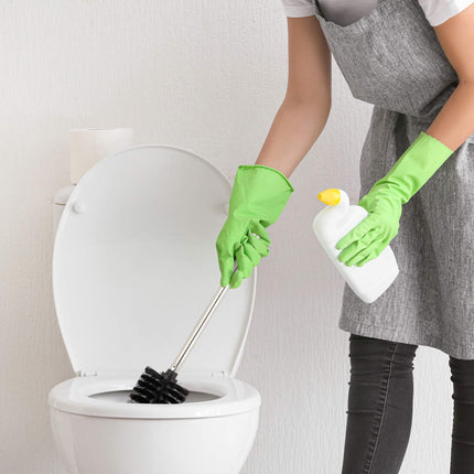 5 replacement toilet brushes