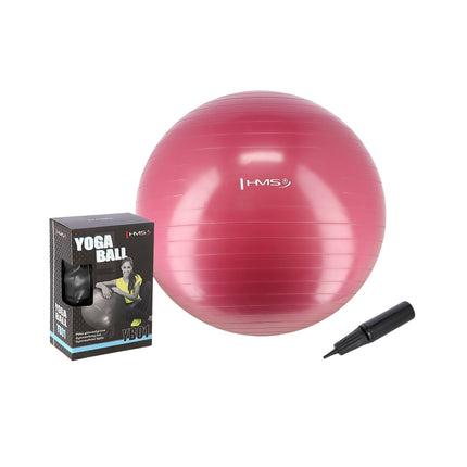 65cm Plum Exercise Ball for Yoga & Fitness