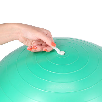 65cm Plum Exercise Ball for Yoga & Fitness
