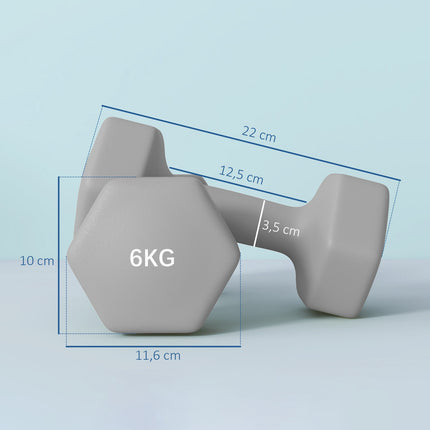6kg Hex Dumbbell Set, Non-Slip Grip, Home Gym