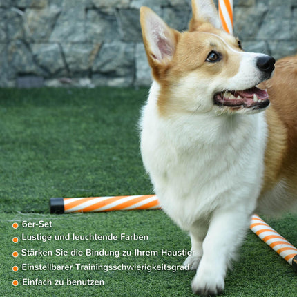 Agility-Trainings-Set für Hunde, Orange – Stangen, Pfeife & Tasche