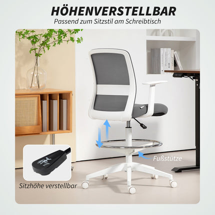 Adjustable Ergonomic Mesh Office Chair with Footrest