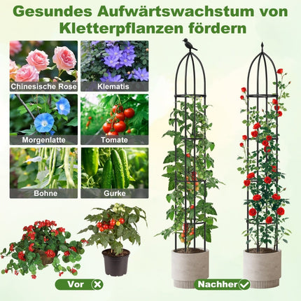 Verstellbare Pflanzenstützen aus Metall (Obelisken), 2er-Set