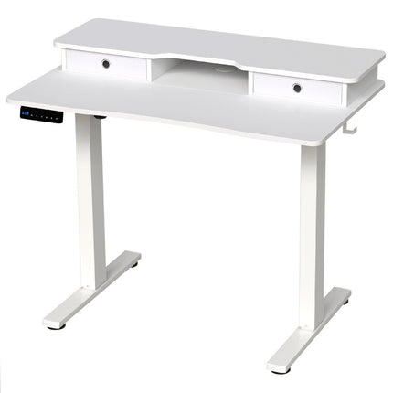 Adjustable Standing Desk with Monitor Stand & Drawers