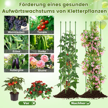 Verstellbares Tomatenpflanzen-Stützset – 2 Stück, Metall, 3 Höhen