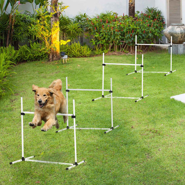 Dog Agility Training Set - 4 slalom hurdles, white
