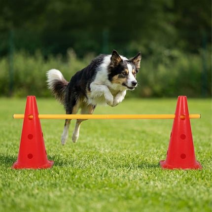 Sada agility překážek s 12 kužely a 6 nastavitelnými tyčemi