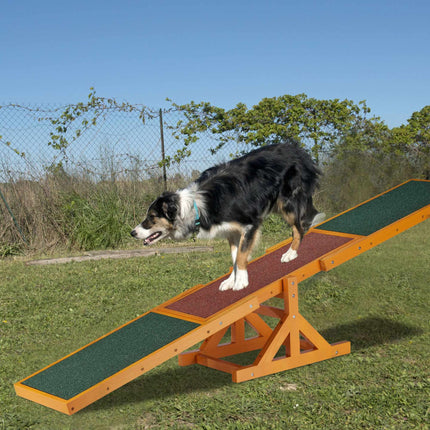Agility für Hunde Wippe