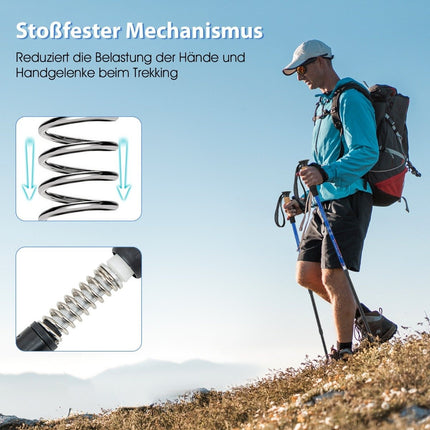 Aluminium Nordic Walking Stöcke Teleskop Wanderstöcke Trekkingstöcke 1 Paar Set Einstellbar 65-135cm Silber