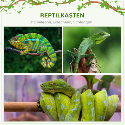 Terrarium en aluminium pour reptiles, amphibiens, arachnides, boîte d'élevage de reptiles, terrarium en maille noir 60 x 60 x 120 cm