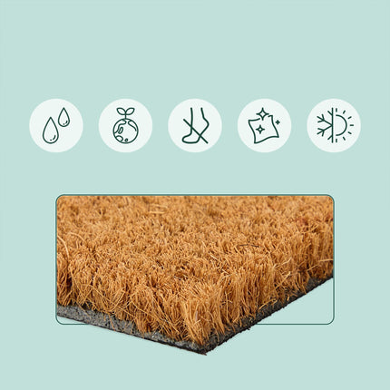Animal Doormat, Coconut Fiber, 60x40 cm, Dirt-Trapping