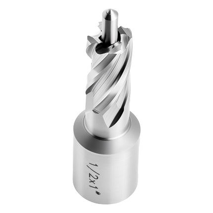 Annular Cutter Set, 5-Piece HSS 1/2 in Weldon Shank