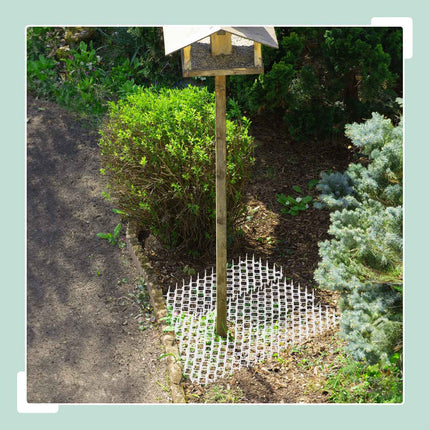 Anti Cat Spike Mats, Set of 12 – Garden Animal Deterrent