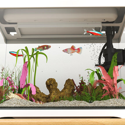 Tropisches Aquarium mit LED, Filter & Pumpe, 17L Weiß