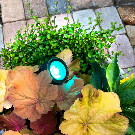 Arcus Garden spot RGB Noir