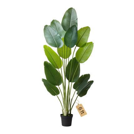 Artificial Bird of Paradise Tree 6ft, 13 Trunks, Pot
