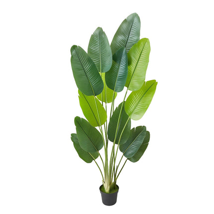 Artificial Bird of Paradise Tree 6ft, 13 Trunks, Pot