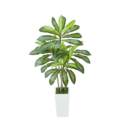 Artificial Dracaena Tree 5ft, White Tall Planter