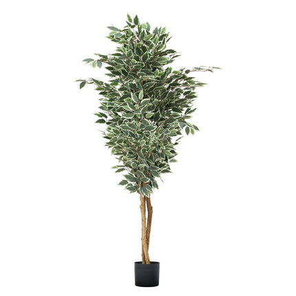 Artificial Ficus Tree 180cm, Black Pot, Indoor Faux Plant