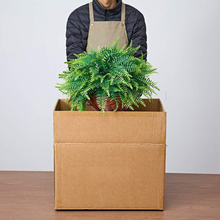 Artificial Hanging Boston Ferns, 2-Pack, 23 In