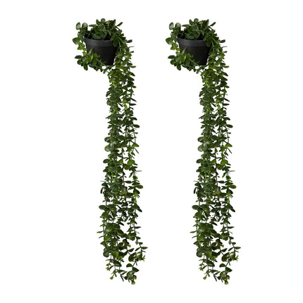 Künstliche Eukalyptus-Hängepflanzen, 2er-Set