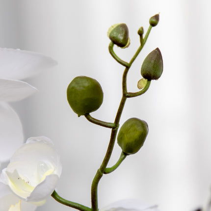 Weiße Orchidee Kunstpflanze im Topf, 75cm – Innendekoration