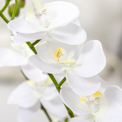 Weiße Orchidee Kunstpflanze im Topf, 75cm – Innendekoration
