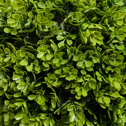 90 cm UV-protected boxwood in a pot - indoors/outdoors