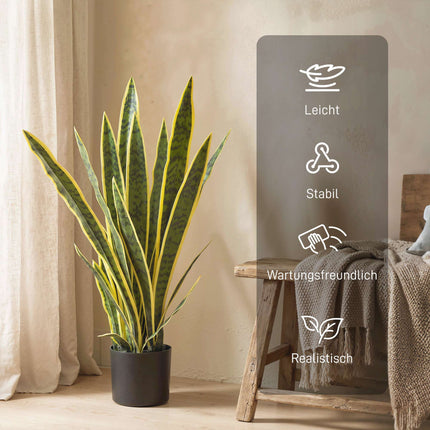 Umělá sansevieria, výška 77 cm, v květináči do obývacího pokoje
