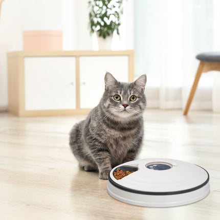 Automatic Pet Feeder, 6-Portion Electric Food Dispenser